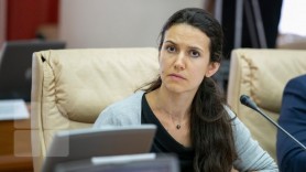 Stamate despre reținerea lui Stoianoglo: A ajuns cuțitul la os